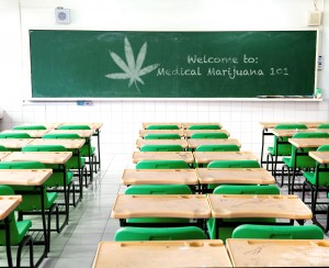 Want to study pot? There's a school for that