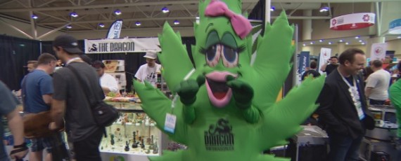 Cannabis expo