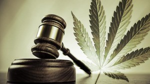 Dispensary law firm