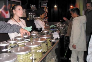 How to obtain a cannabis business license?